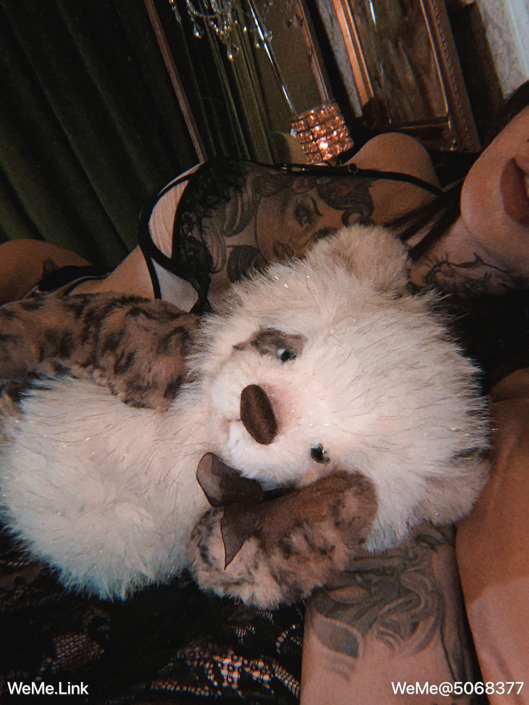 [福利COS] 大佬甜bb-钱冰 微密圈视图合集第9张