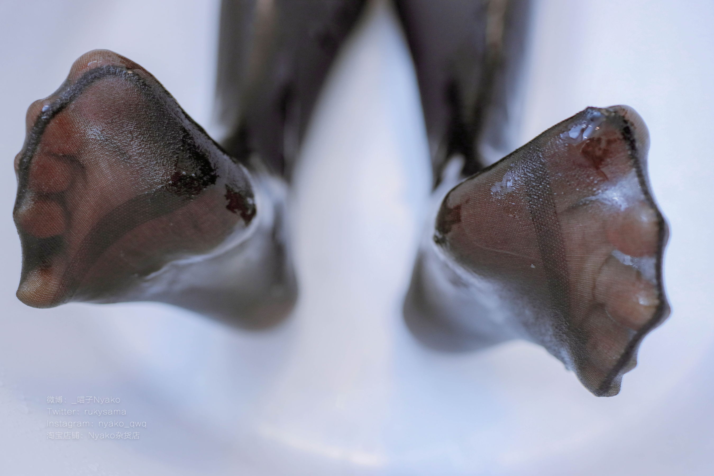 [福利COS] 萌妹子Nyako喵子 - 黑色透明竞泳第13张