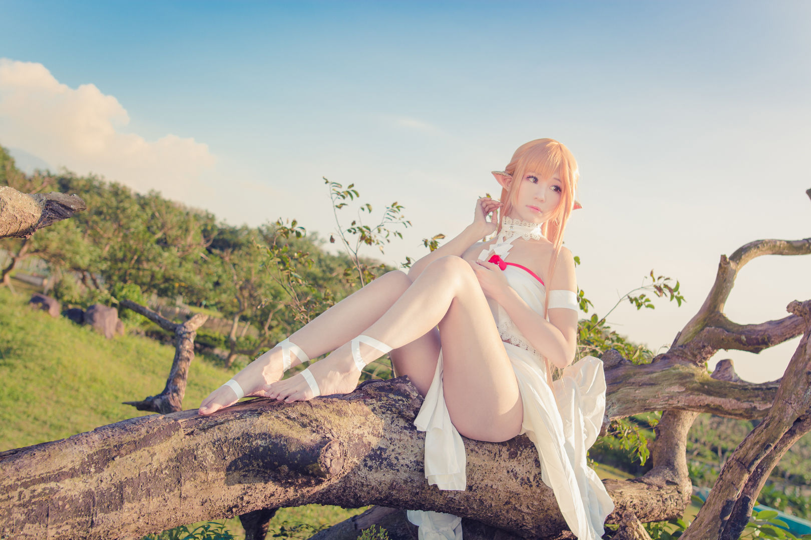 [福利COS] 白神泱 - 亚丝娜第24张