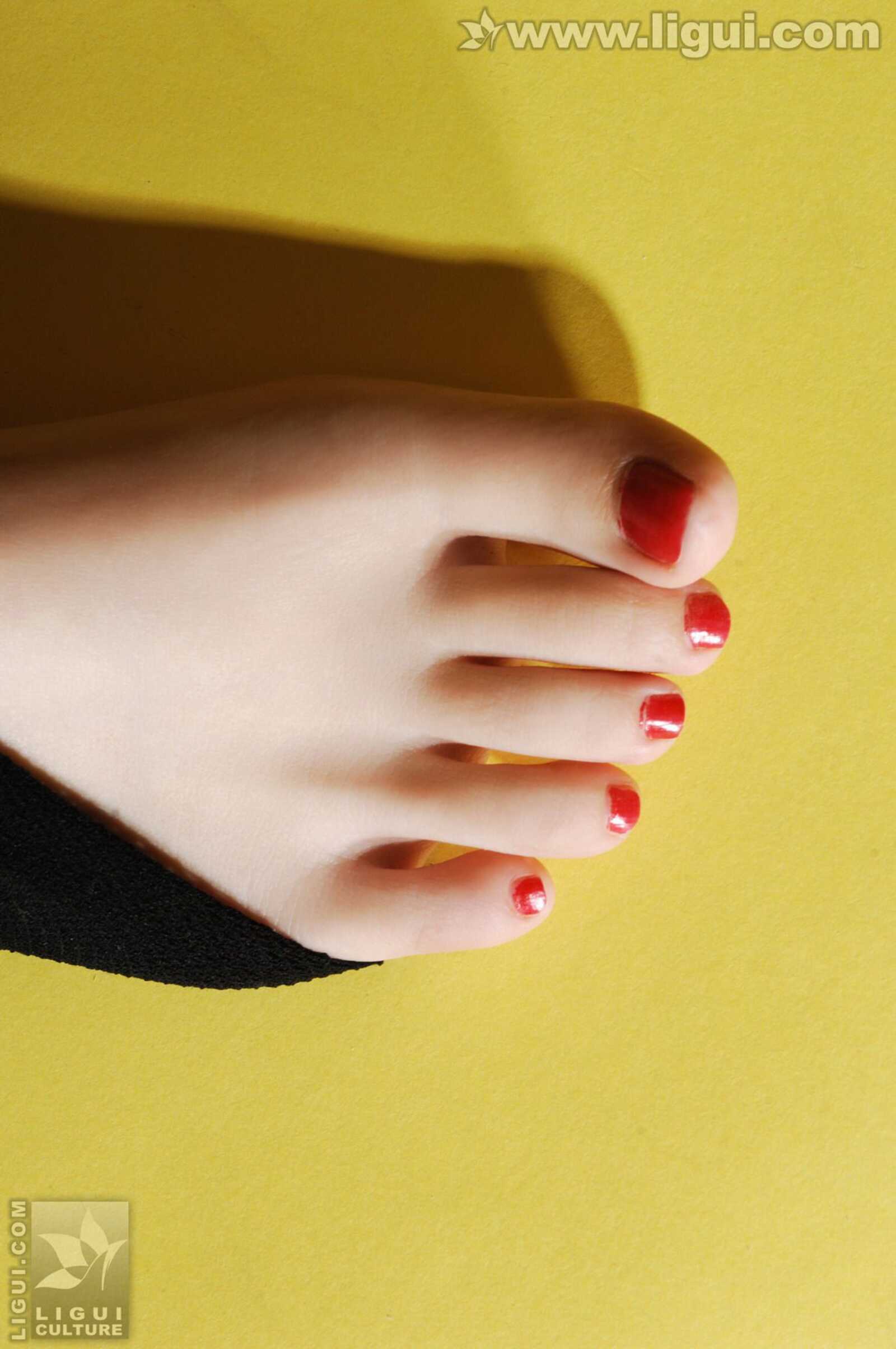 Model Vicky《与小熊玩偶之间的黑丝摩登秀》 [丽柜第2张