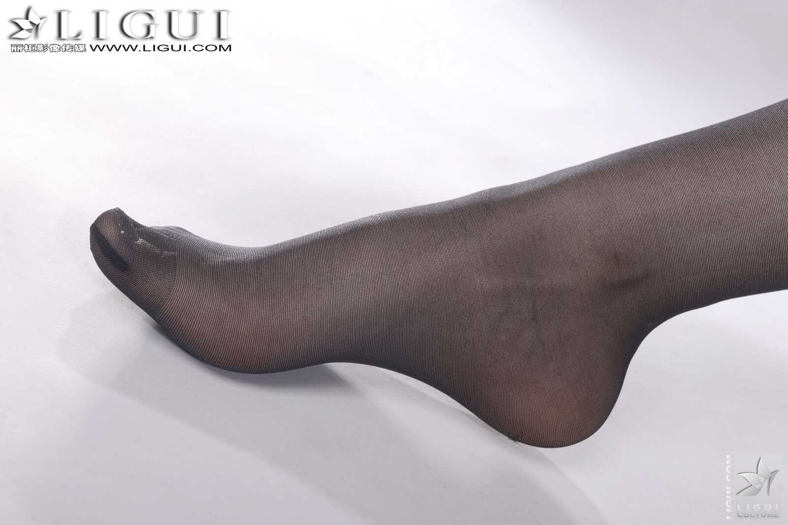 Model Vicky《豹纹黑丝的诱惑》 [丽柜LiGui] 美腿玉足第6张