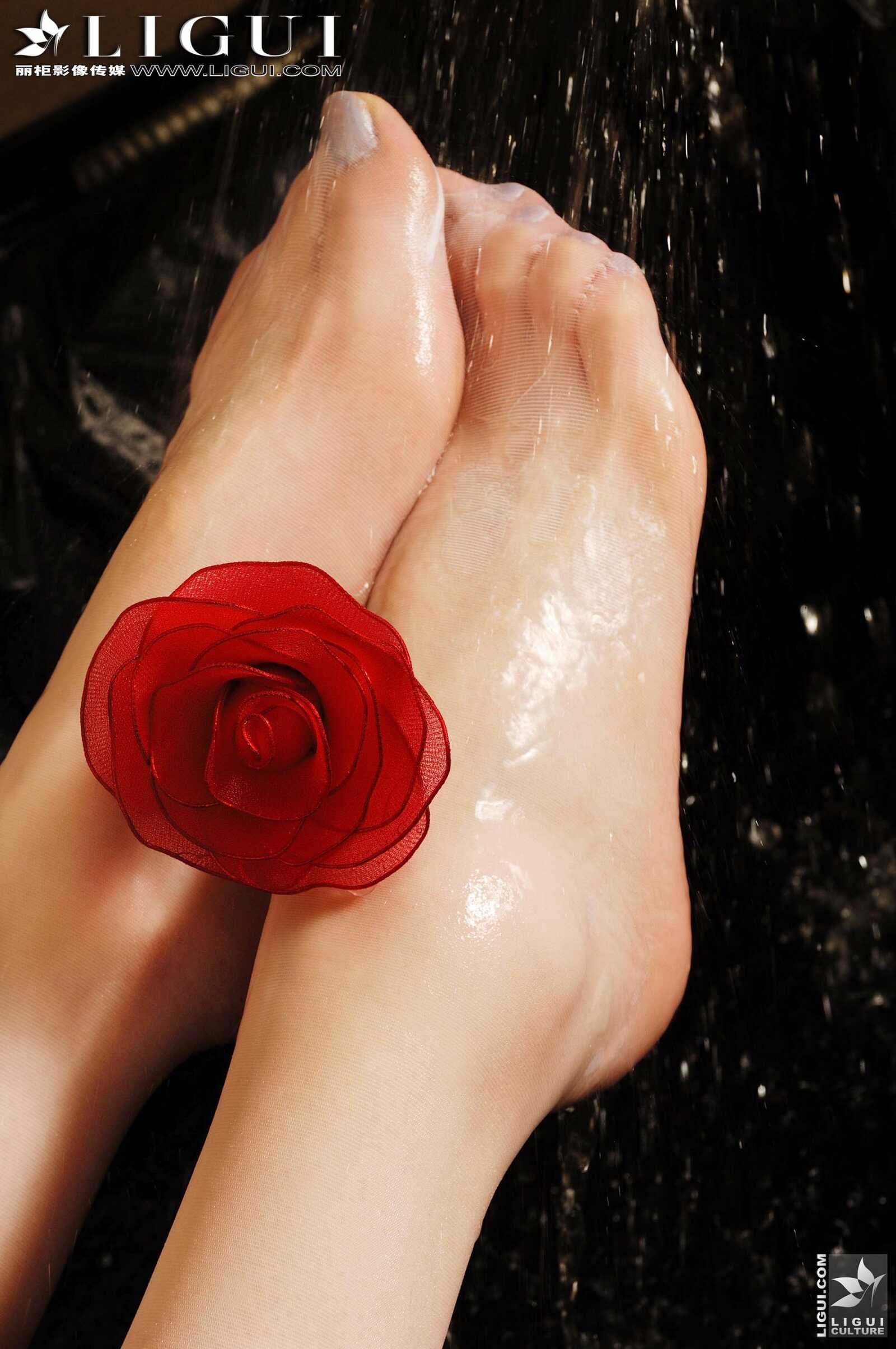 [丽柜贵足LiGui] Model 蒙蒙《蕾丝尤物》美腿丝足写第2张