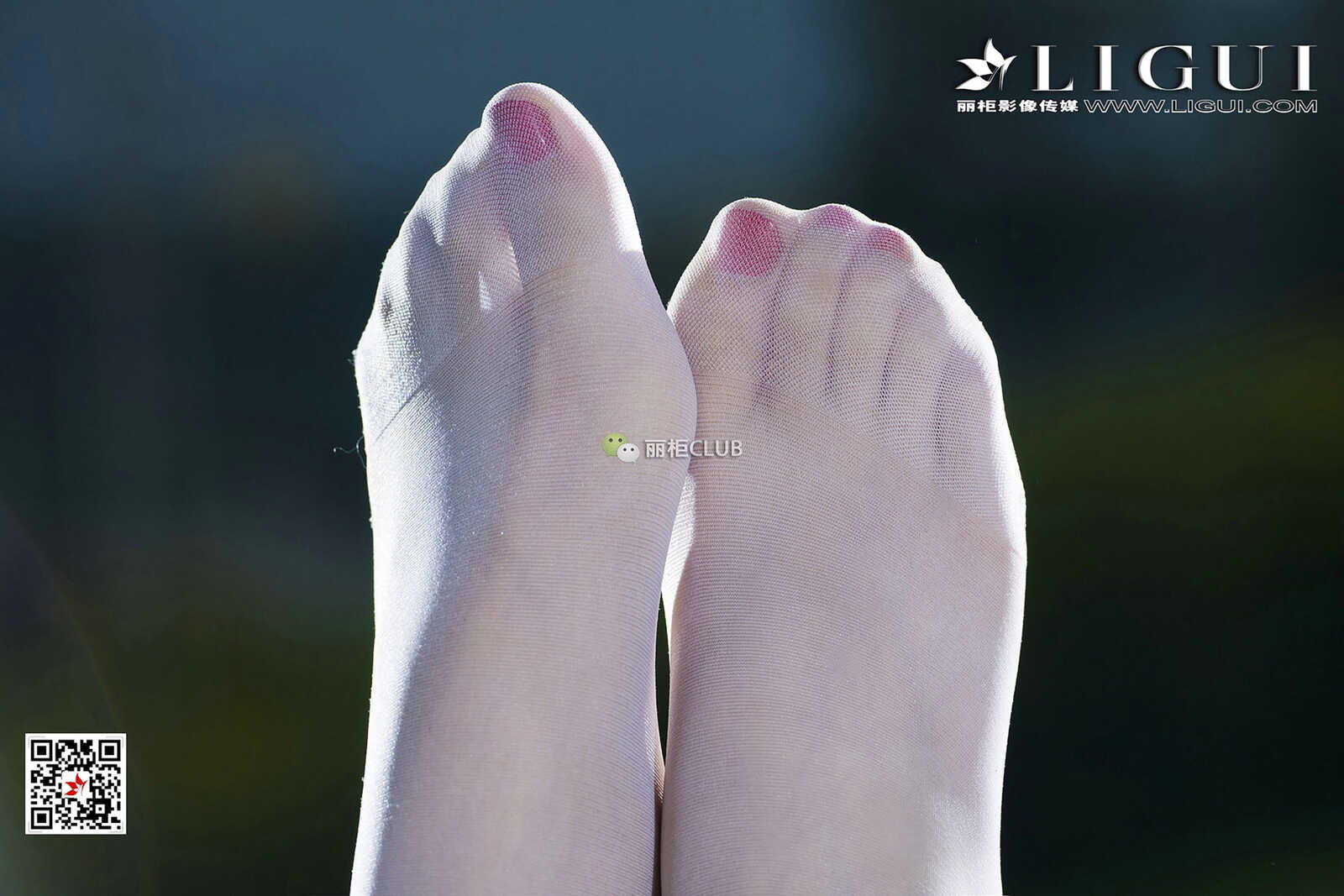 Model 雪儿《夜空白丝》 [丽柜Ligui] 写真集第1张