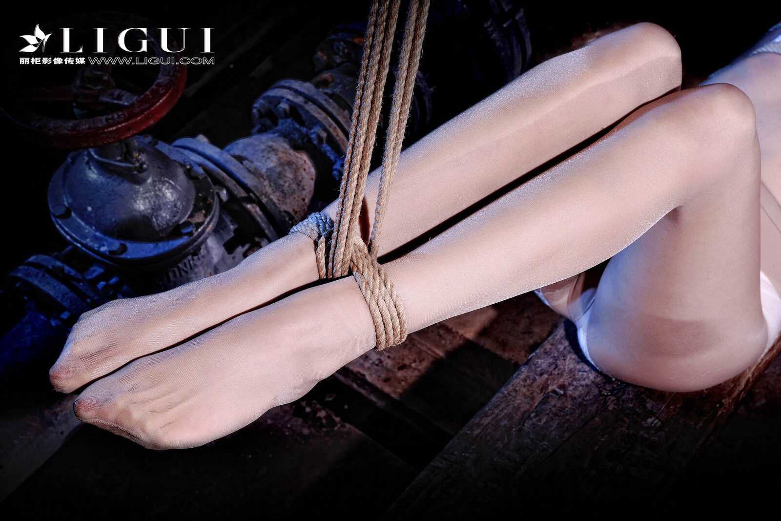 腿模可馨《OL捆绑系列》 [丽柜Liguil] 美束写真集第8张