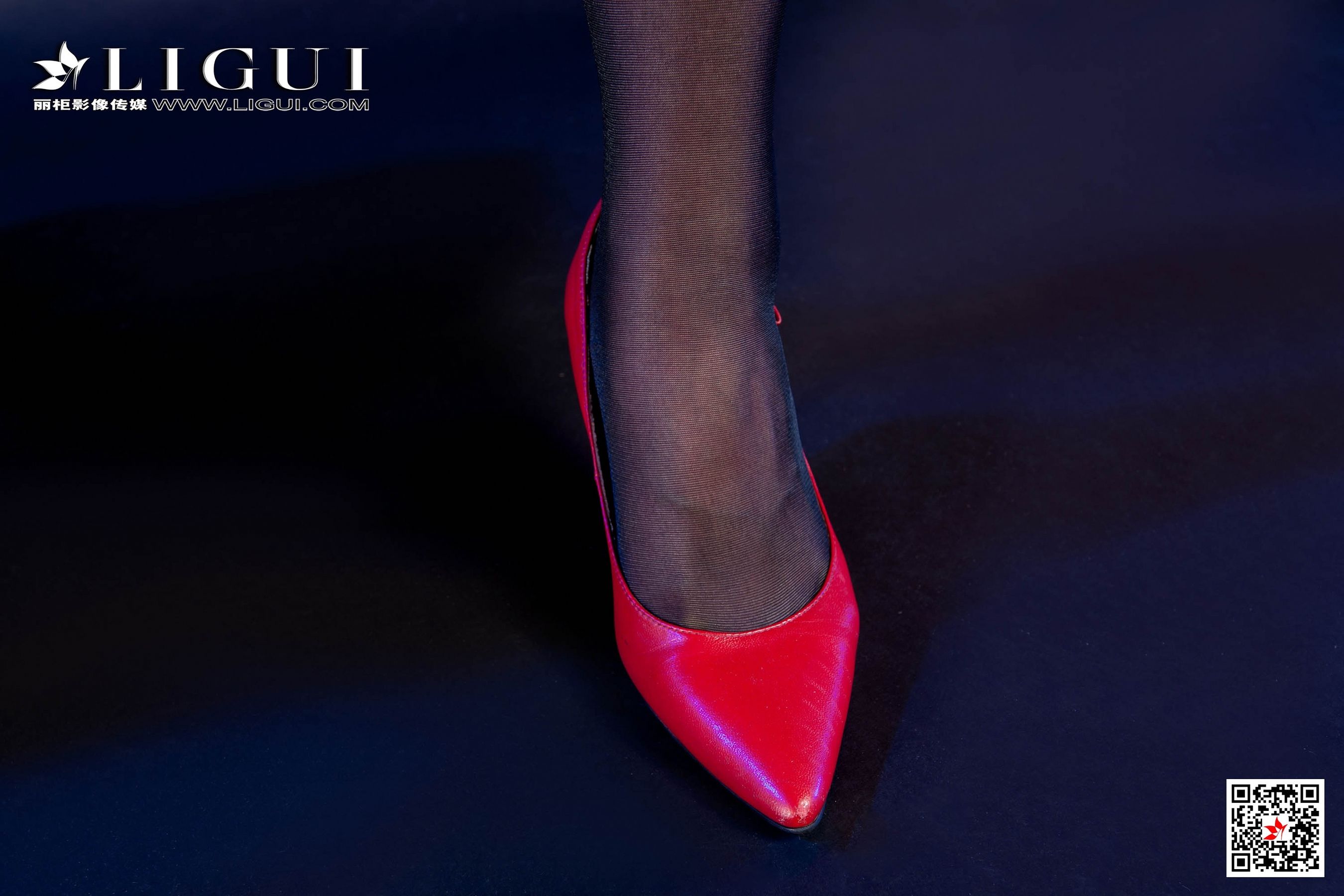 佳怡《性感黑丝皮衣》 [丽柜Ligui] 写真集第10张