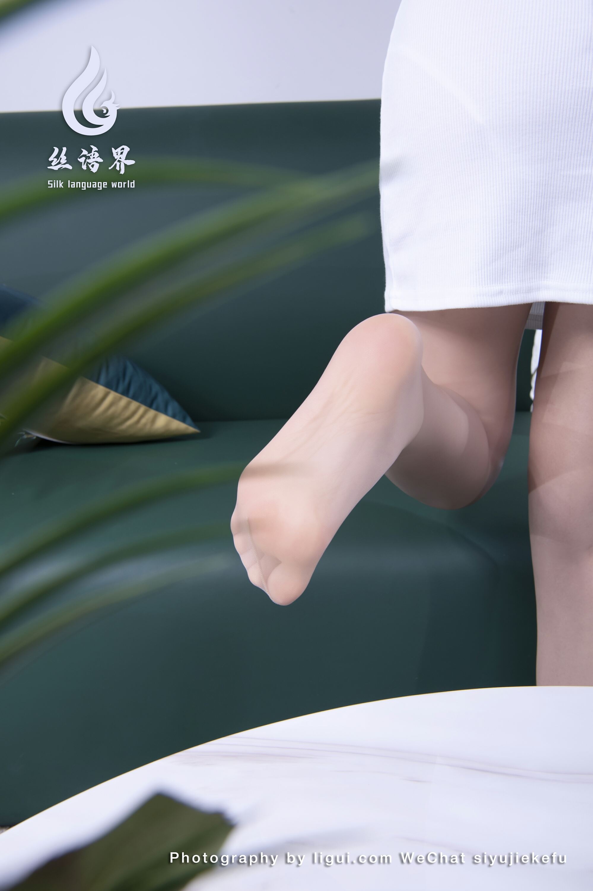 Ligui丽柜   丝语界合作 2023.03.19 《微甜的时光》安诺第8张