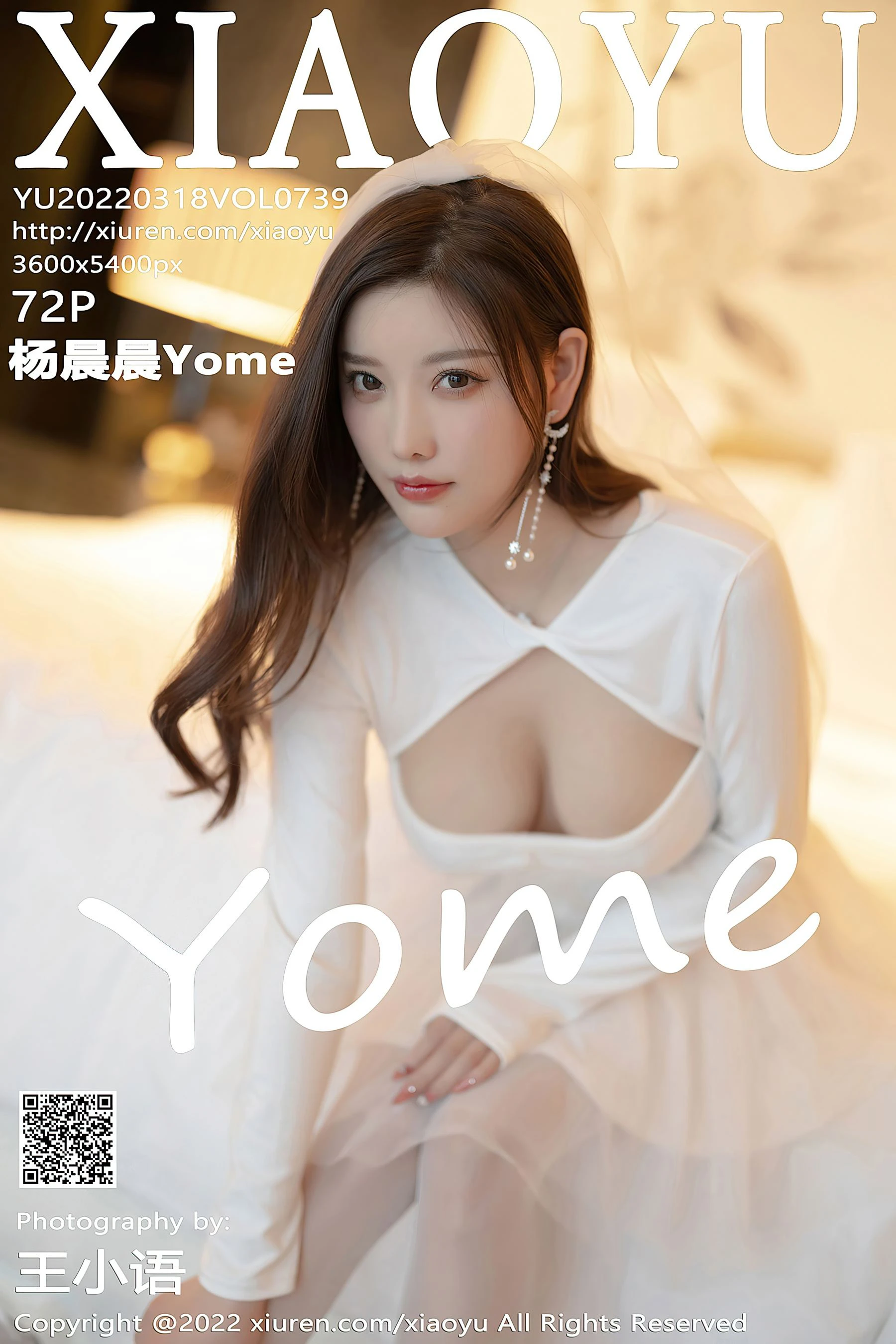  语画界 VOL.739 杨晨晨Yome 丝袜美腿第10张