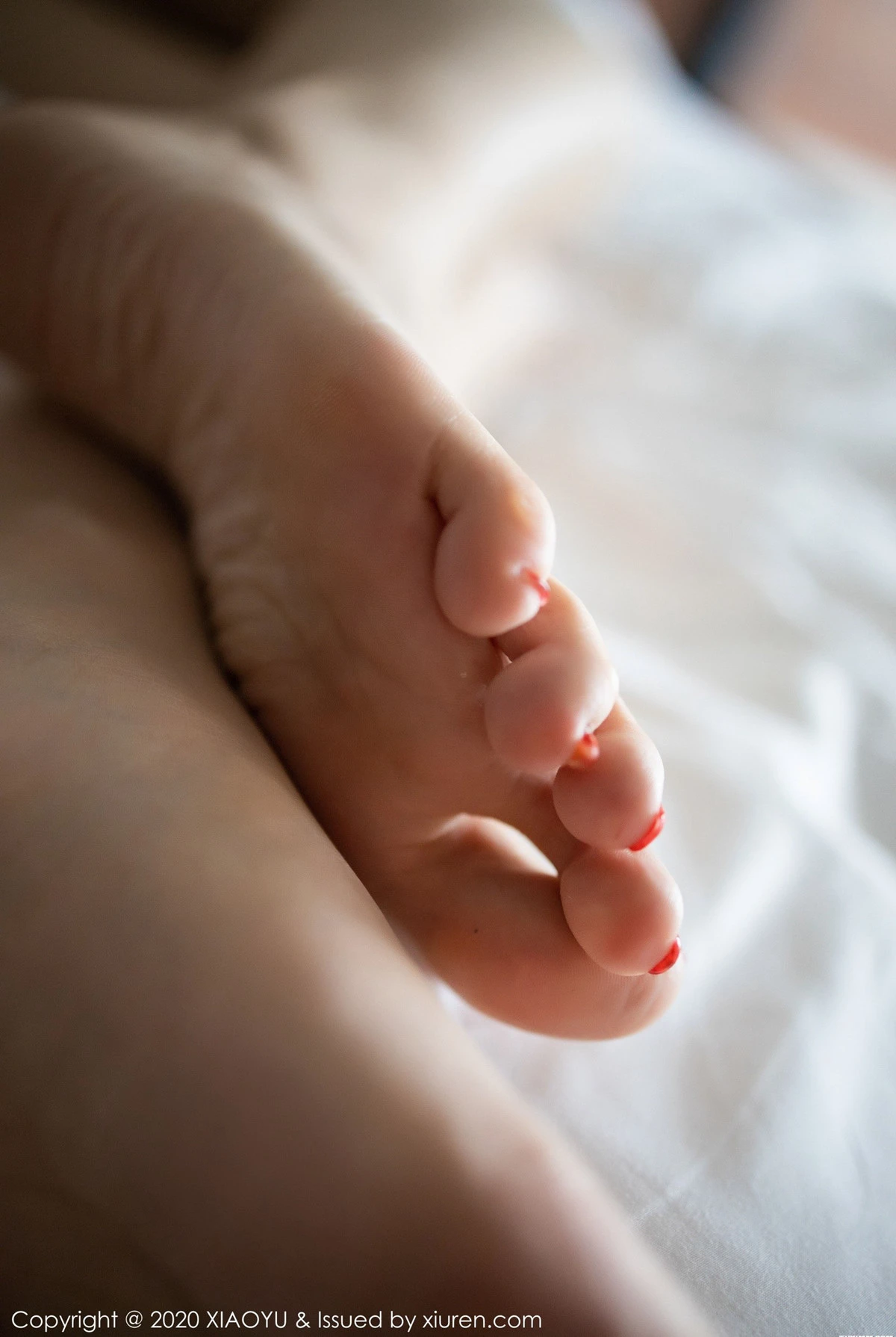  语画界 VOL.259 顾乔楠第13张