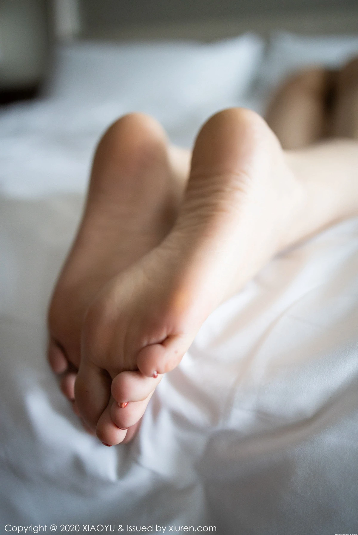  语画界 VOL.259 顾乔楠第13张