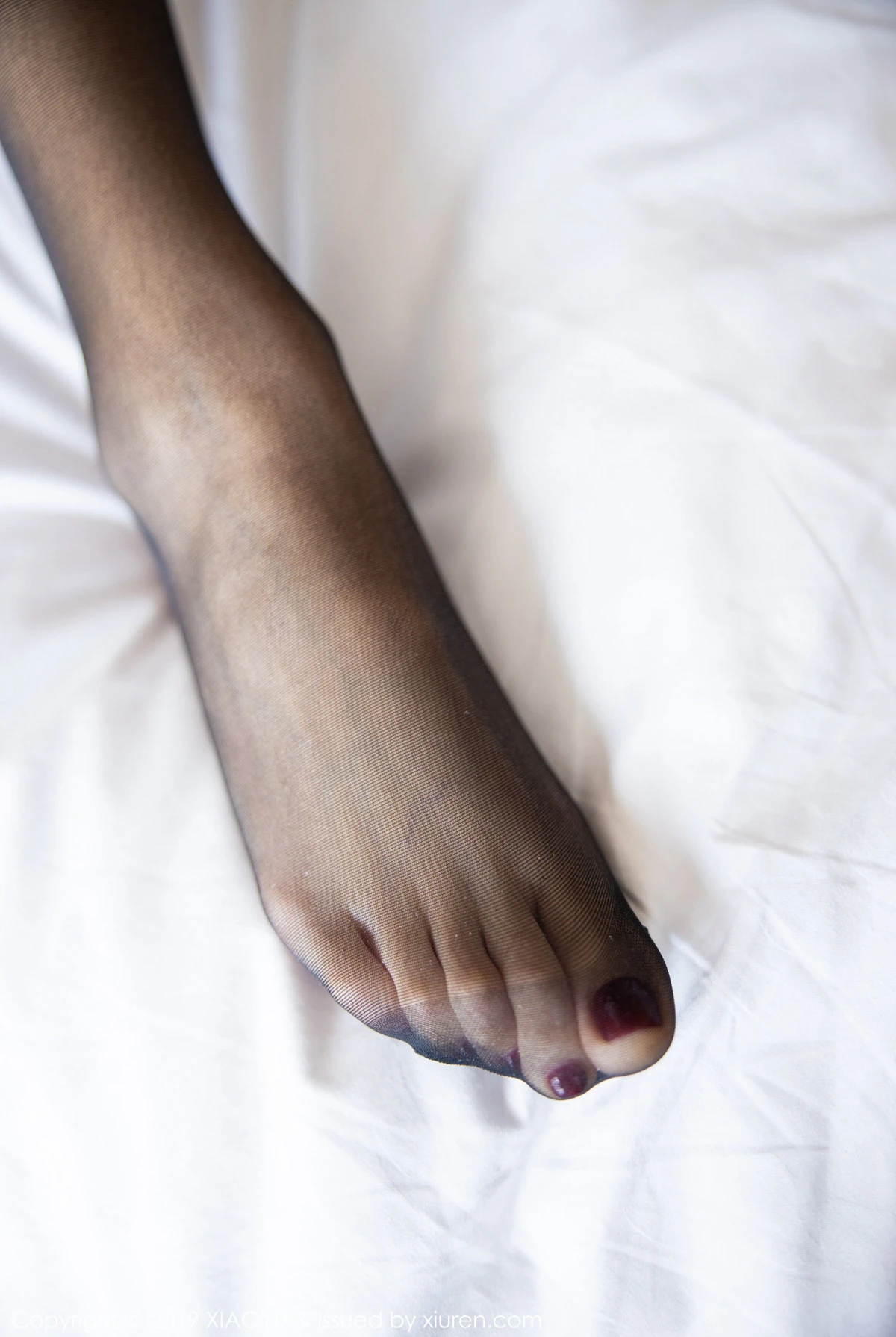  语画界 VOL.222 Miko酱吖第33张