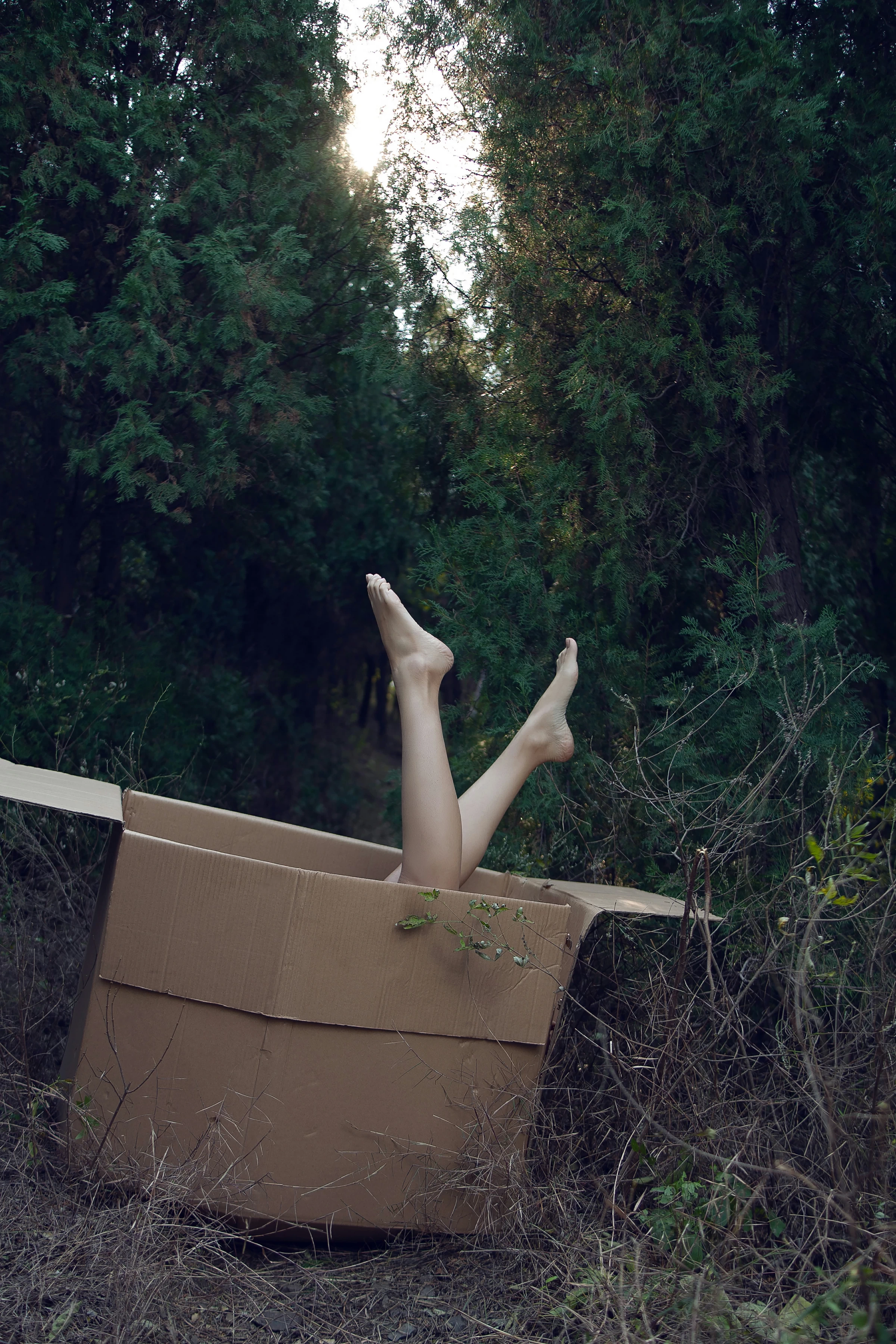 [YALAYI雅拉伊]NO.130 逃离出梦境 熏儿 黑色透视情趣连体内衣性感私房写真集第2张