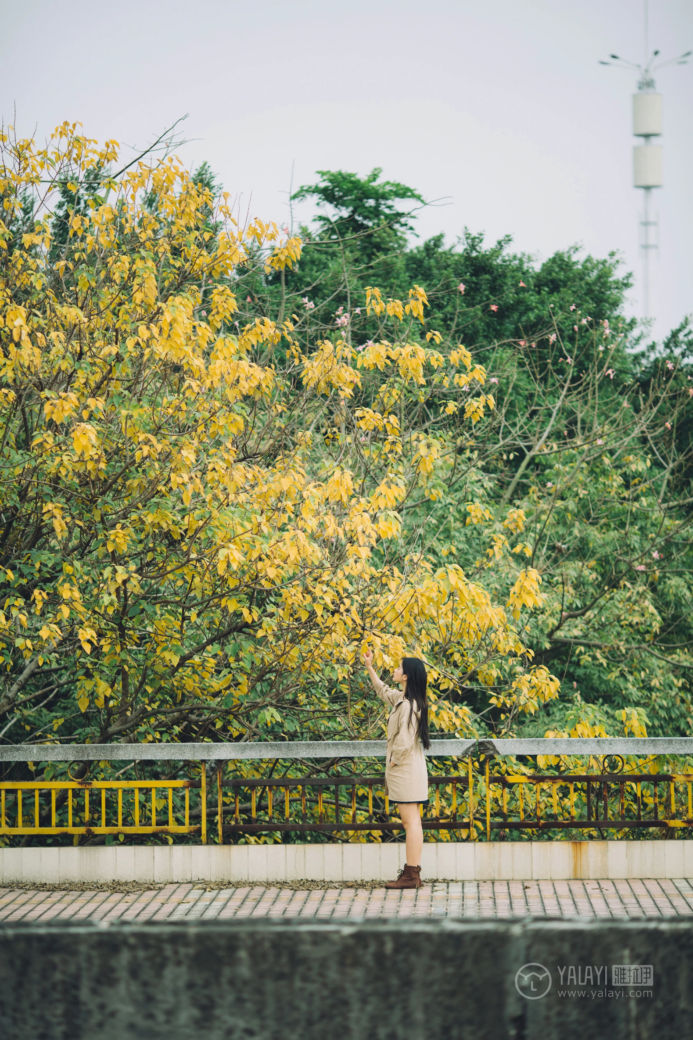 [YALAYI雅拉伊] No.179 焦糖色少女 阿惜 米色风衣与蓝色内衣加短裙性感私房写真集第8张
