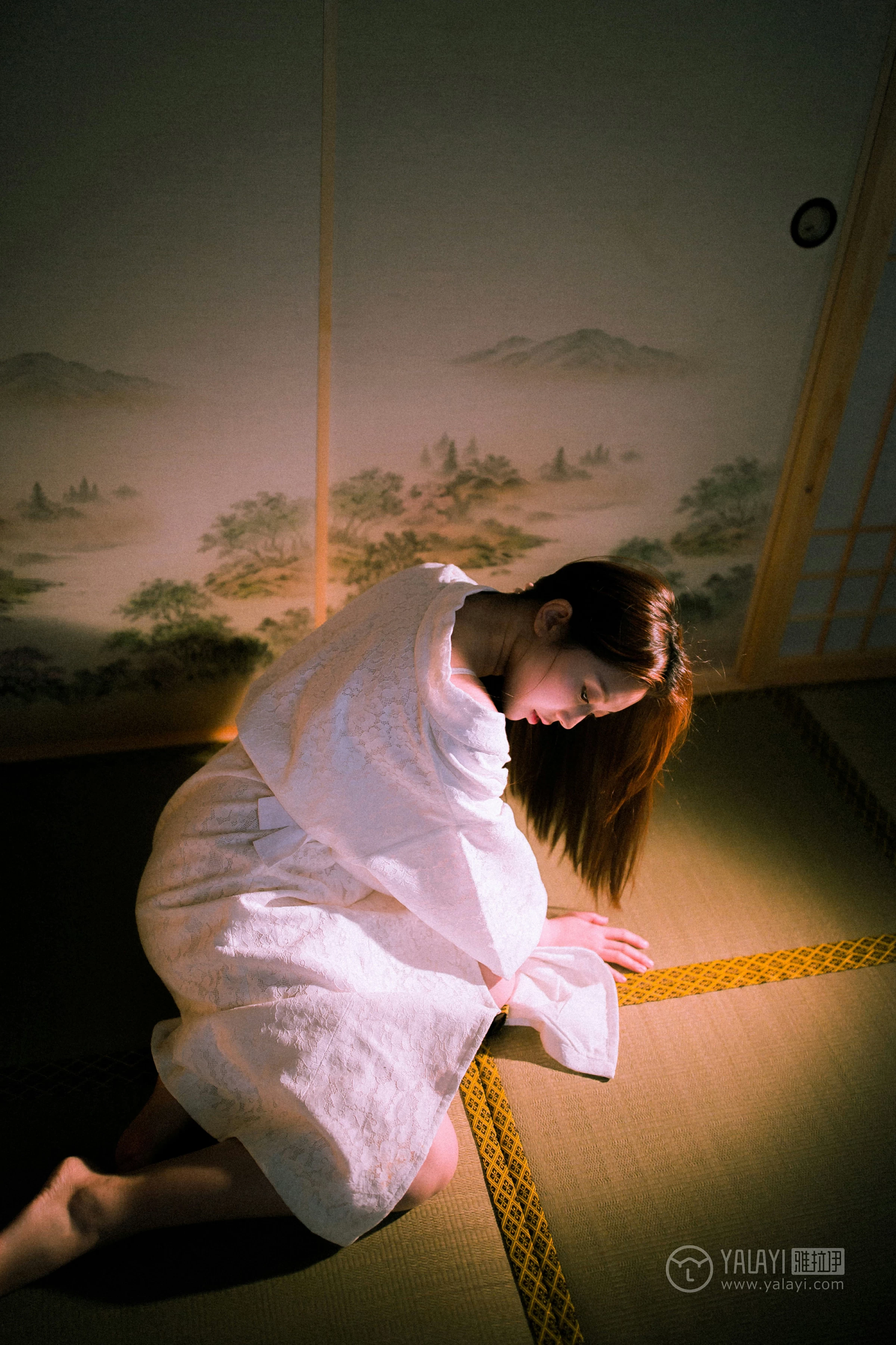 [YALAYI雅拉伊]No.202 夜光 圆圆 白色透视蕾丝镂空睡衣性感私房写真集第2张