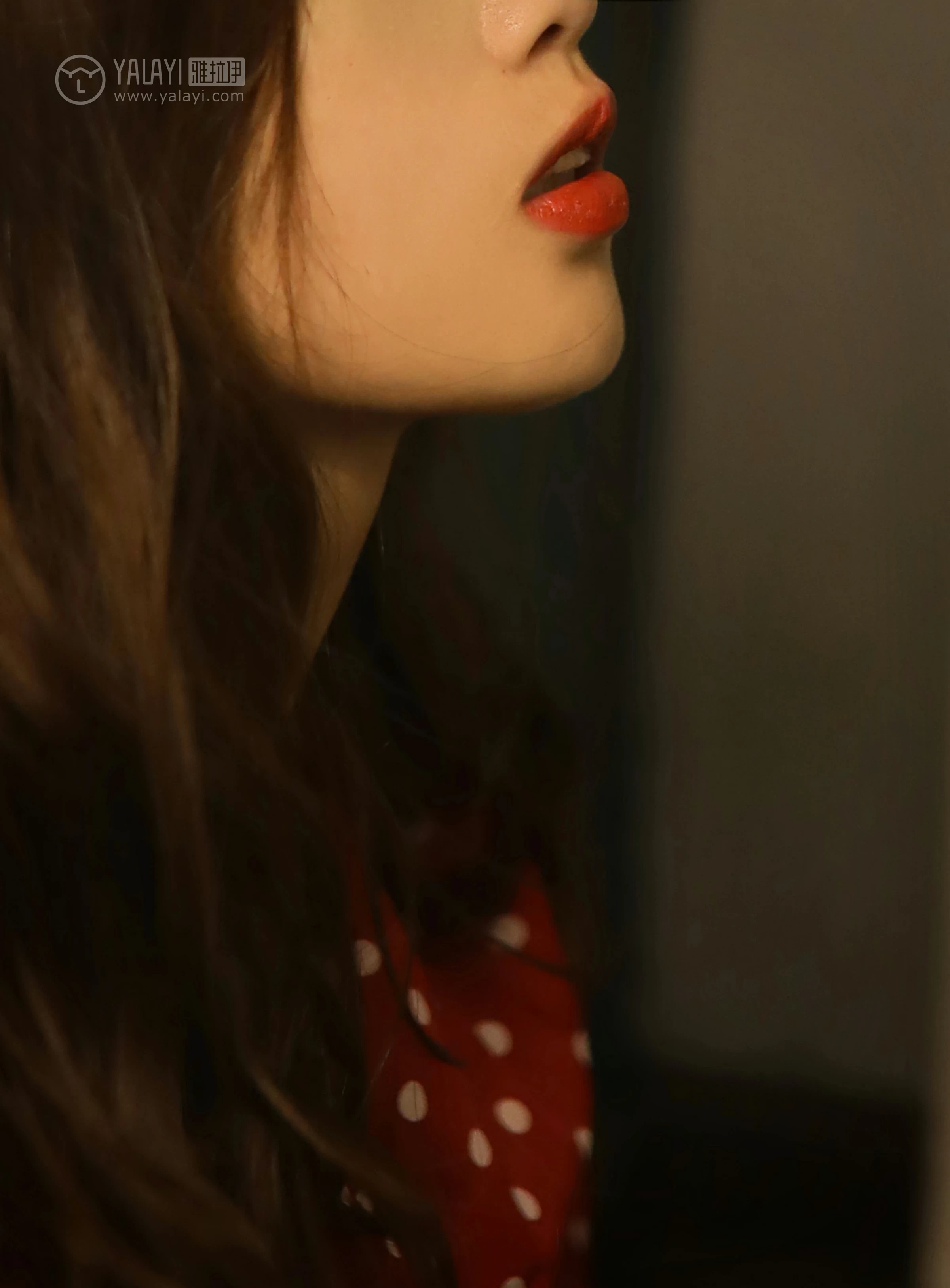 [YALAYI雅拉伊]No.347 失眠夜 圈圈 红色亮点连衣裙居家私房写真集第1张