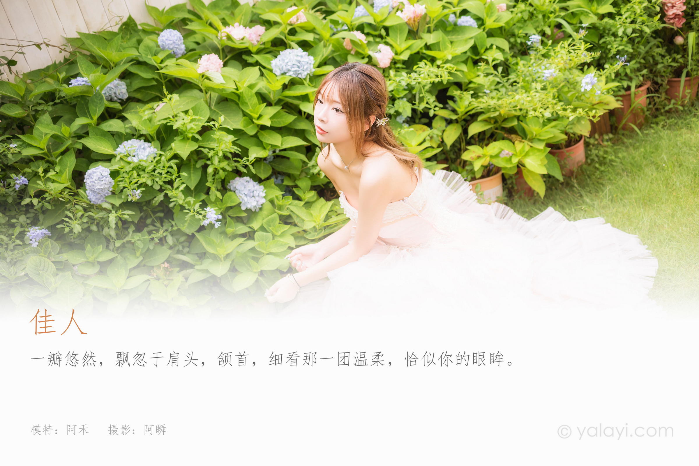 [YALAYI雅拉伊]2022.08.22 佳人 阿禾 粉色抹胸蕾丝加衣裙性感写真集第1张