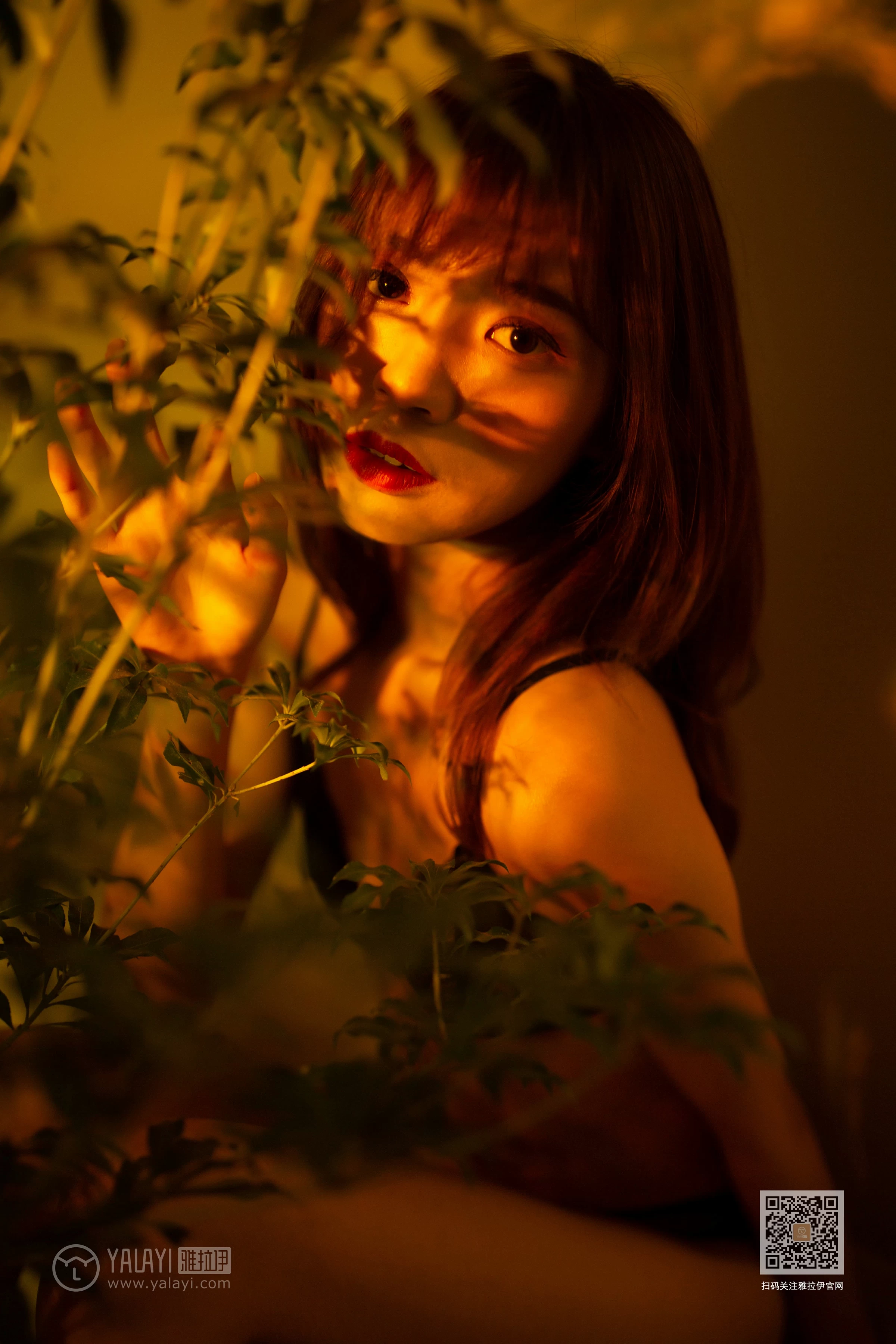 [YALAYI雅拉伊]Vol.512 未突破防线 丽雅 黑色透视蕾丝情趣内衣性感私房写真集第3张